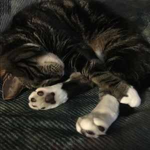 Meet your Posher, Dawn